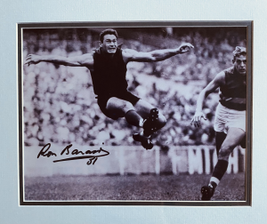 Barassi1 RDB in full flight